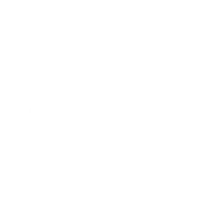 Apple Icon